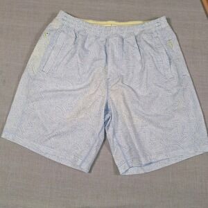 Birddogs Lined swim trunks, XL-Long, Light Blue and Whites